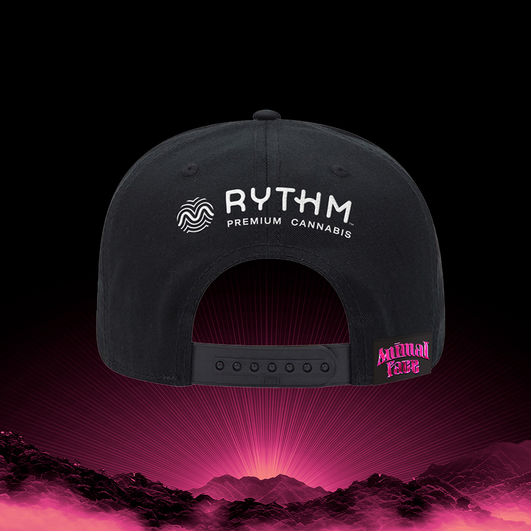 Animal Face A Frame Hat - 34181523570842