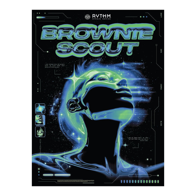 Brownie Scout - Drifter 18x24" ALT Foil Poster - 36971054170266