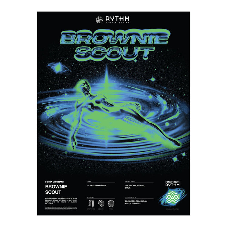 Brownie Scout - Cosmic Bliss 18x24" Foil Poster - 36964760387738