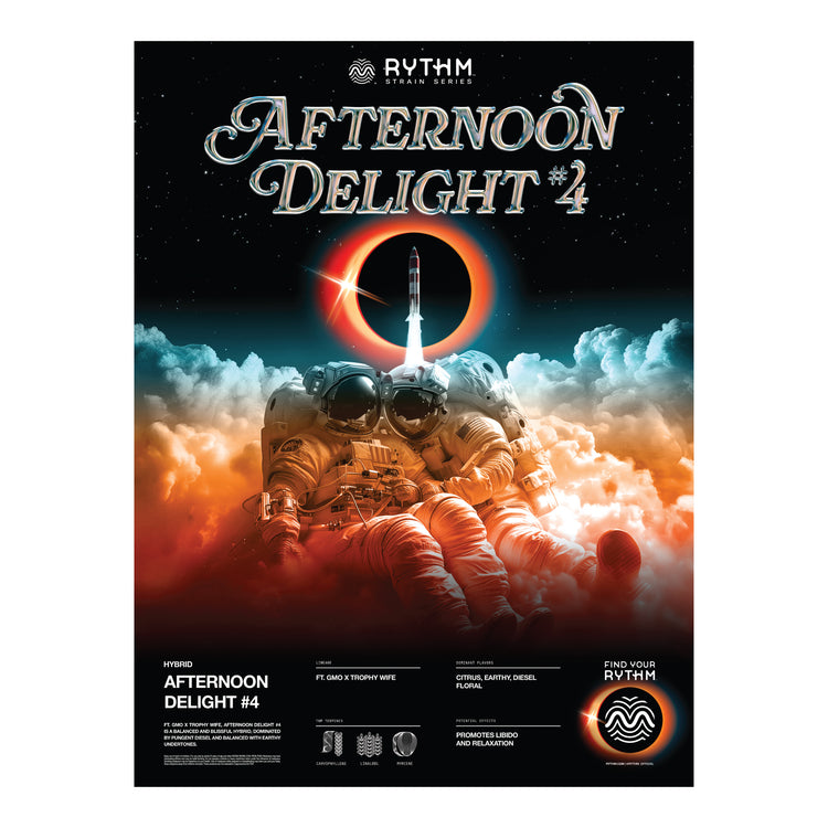 Afternoon Delight - Sky Rocket 18x24" Foil Poster - 36964760944794